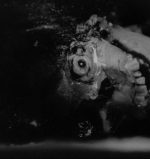 night of the living dead