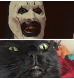 Notice a resemblance between Art the Clown and Dee the cat?